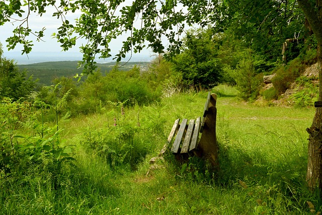 广东挺进8强，徐杰飙7记三分砍23分，杜锋战术奏效，下轮迎战卫冕冠军